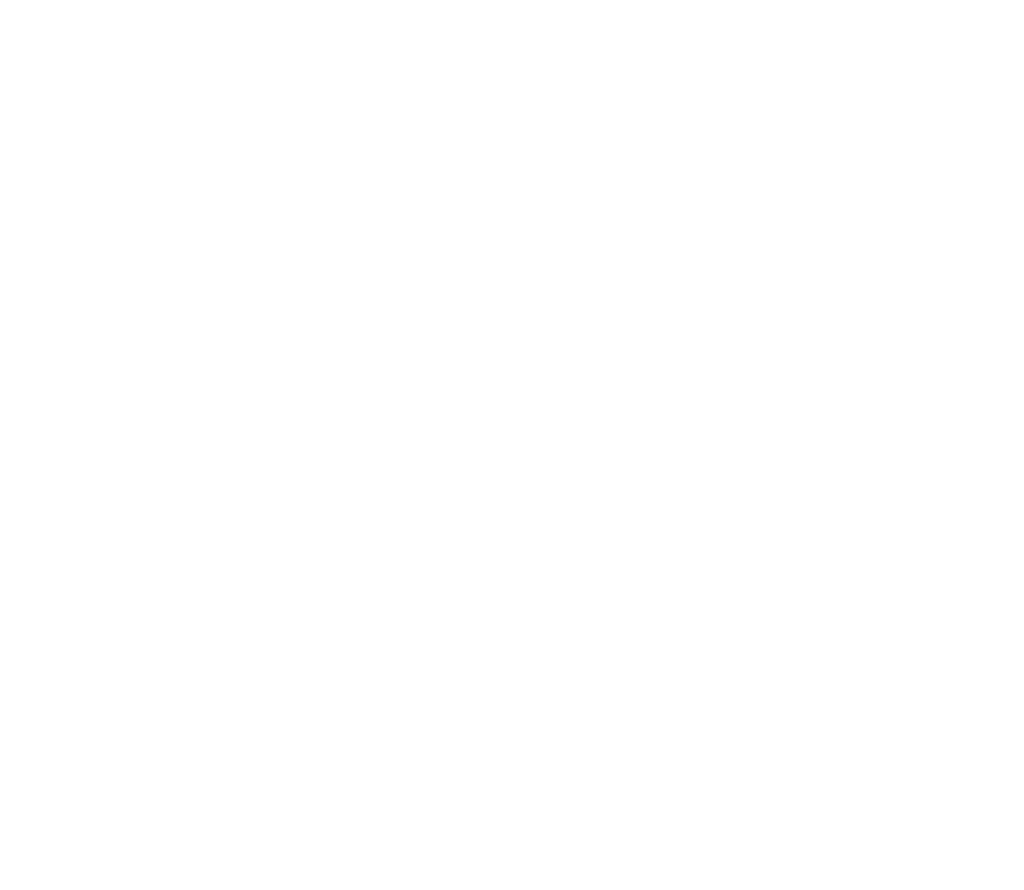 Digs